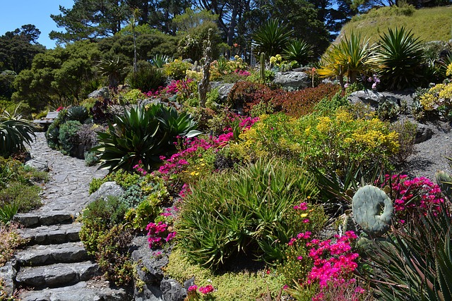 botanical garden 1123939 640